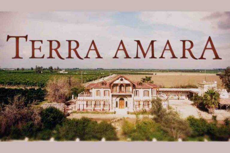 terra amara anticipazioni