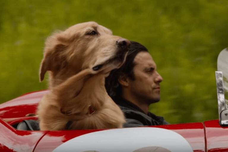 Attraverso i miei occhi