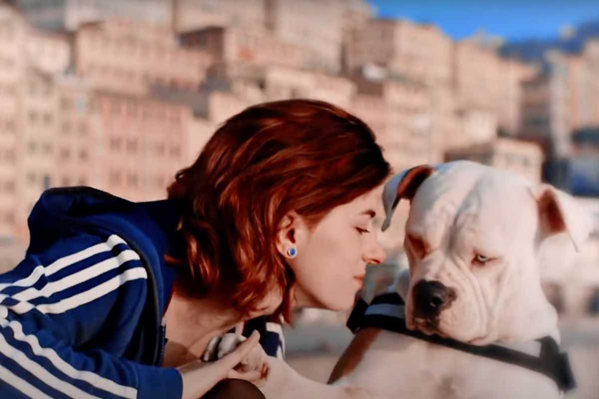 linneo il cane di blanca