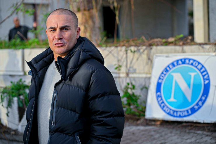 Fabio Cannavaro in azzurro