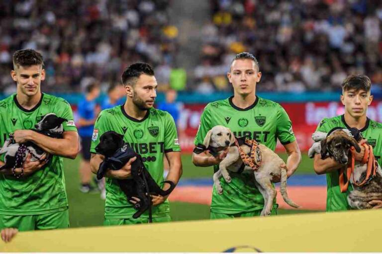 Romania cani adozione