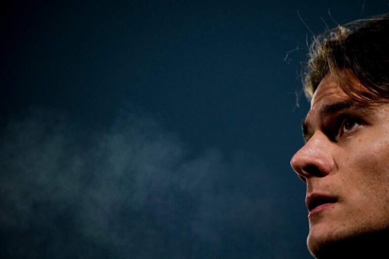 Fagioli in primo piano