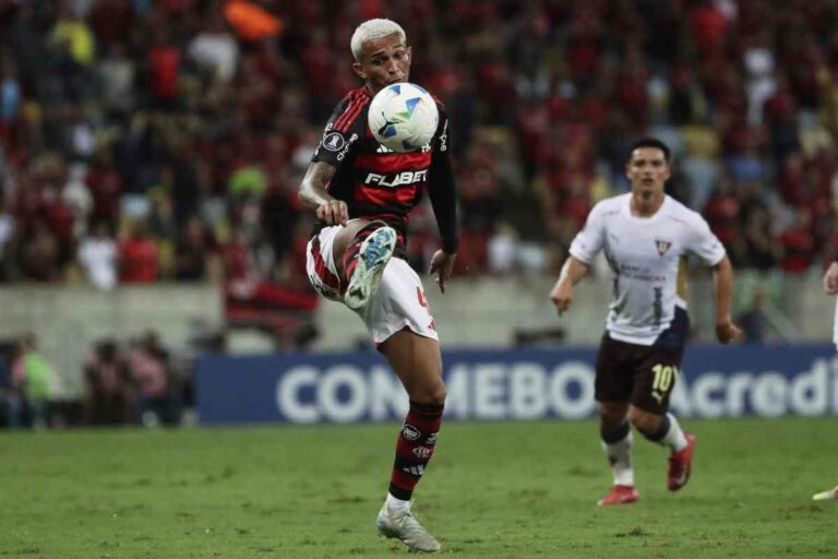 Wesley Flamengo