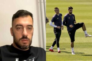 Khedira e Viviano