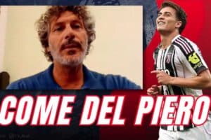 dal canto e yildiz