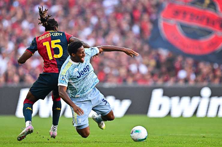 norton-cuffy in azione